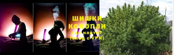 индика Зерноград