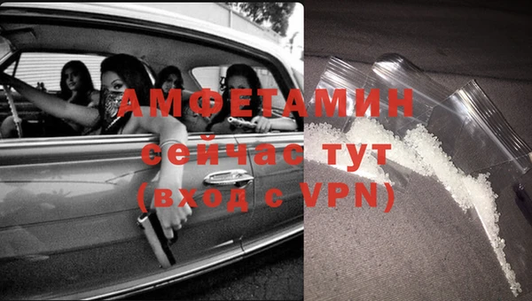 стафф Тавда