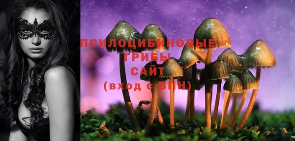 мет Заводоуковск