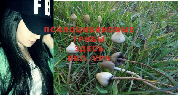 мет Заводоуковск