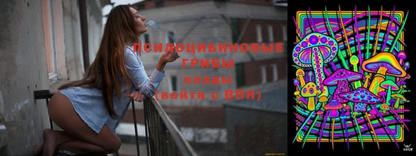 мет Заводоуковск