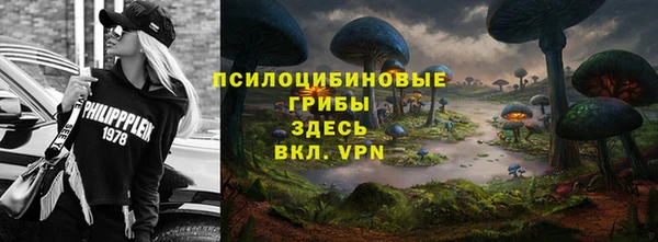 мет Заводоуковск